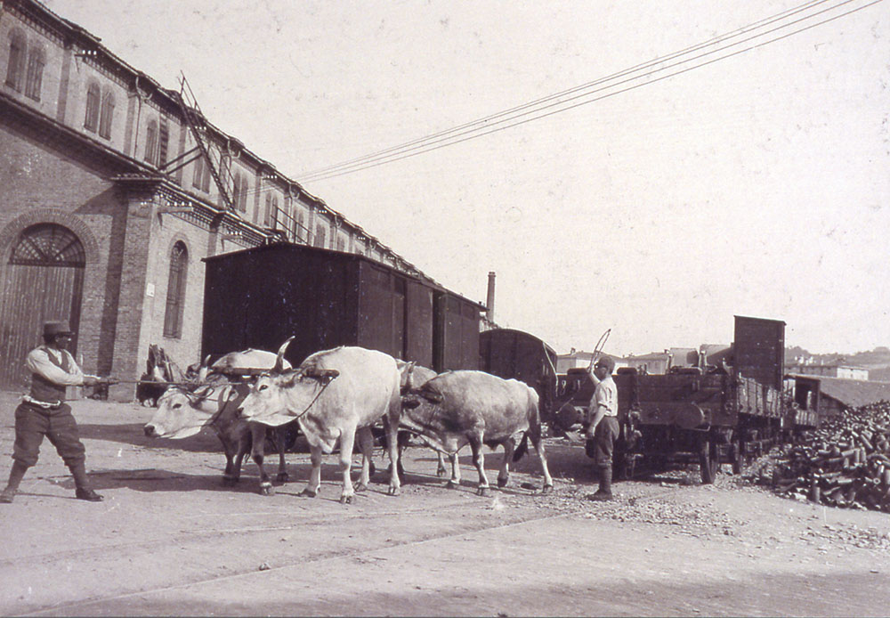 Vecchi e nuovi mezzi di trasporto: movimentazione (a trazione animale) di carri ferroviari a Bologna, Prati di Caprara (Museo civico del Risorgimento di Bologna).