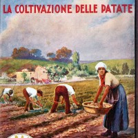 Copertine della collana della Biblioteca per l’insegnamento agrario professionale edita dalla Federconsorzi (Biblioteca comunale Passerini-Landi di Piacenza).