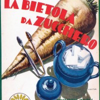 Copertine della collana della Biblioteca per l’insegnamento agrario professionale edita dalla Federconsorzi (Biblioteca comunale Passerini-Landi di Piacenza).