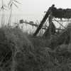 Storia dei fiumi e storia del Po. Introduzione