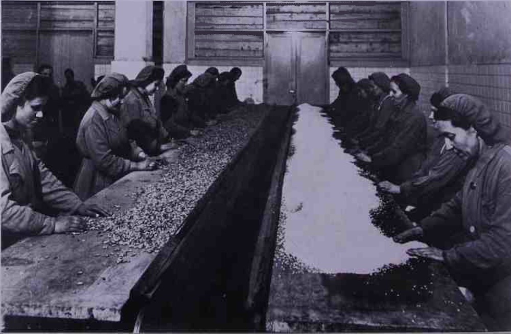 Torino. Preparazione delle “minestre Fiat”, giugno 1943 (Archivio storico Fiat, Torino)