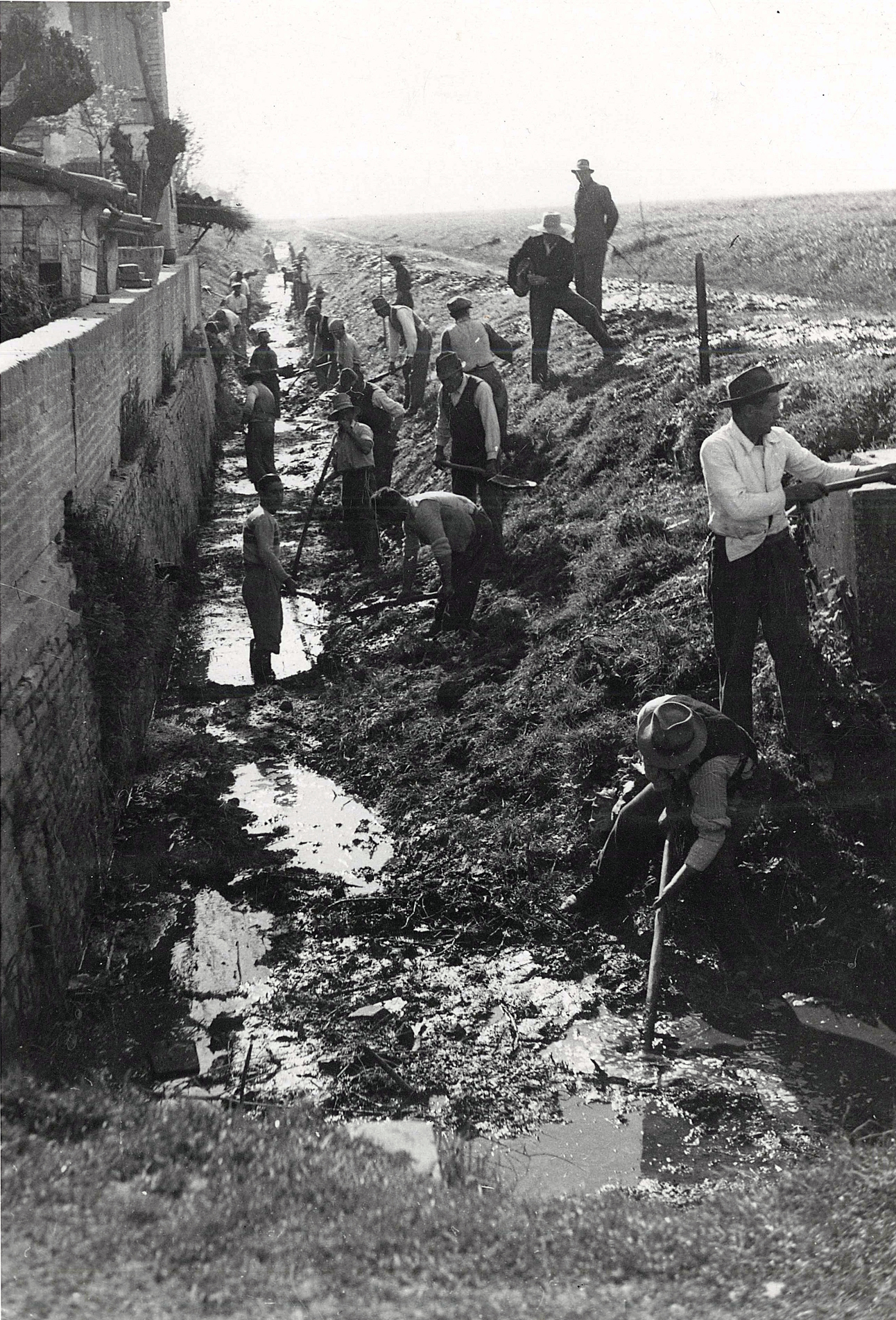 Fig. 2. La sezione del Pci di Poggio Renatico durante i lavori per la riparazione degli argini del Reno, dopo l’esondazione, 1952. (Iscofe, Archivio Federazione ferrarese del Pci).